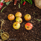 Manzana gala orgánica (500g)